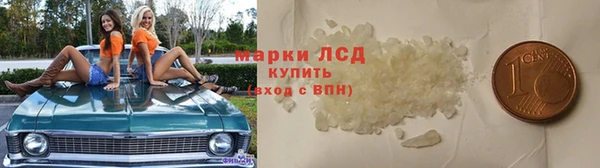 сатива Балахна