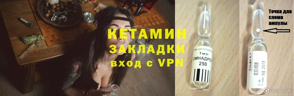 сатива Балахна